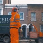 Ipswich Tree Surgeons