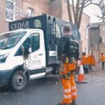 Tree Surgeons In Colchester