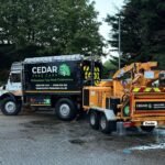 Clacton Tree Surgery