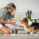 5 Reasons a Dog Grooming Franchise Is a Great Business for Pet Lovers