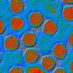 BUG WATCH The flu ‘copy cat’ virus spreading now that leaves you sick even longer – and the 3 key differences in symptoms