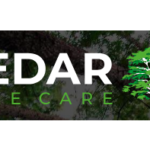 Tree Surgeons In Colchester