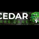 Tree Surgeons In Wivenhoe