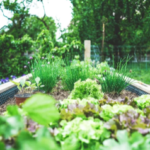 UK Gardeners Urged To Do 4 Tasks This Bank Holiday Weekend